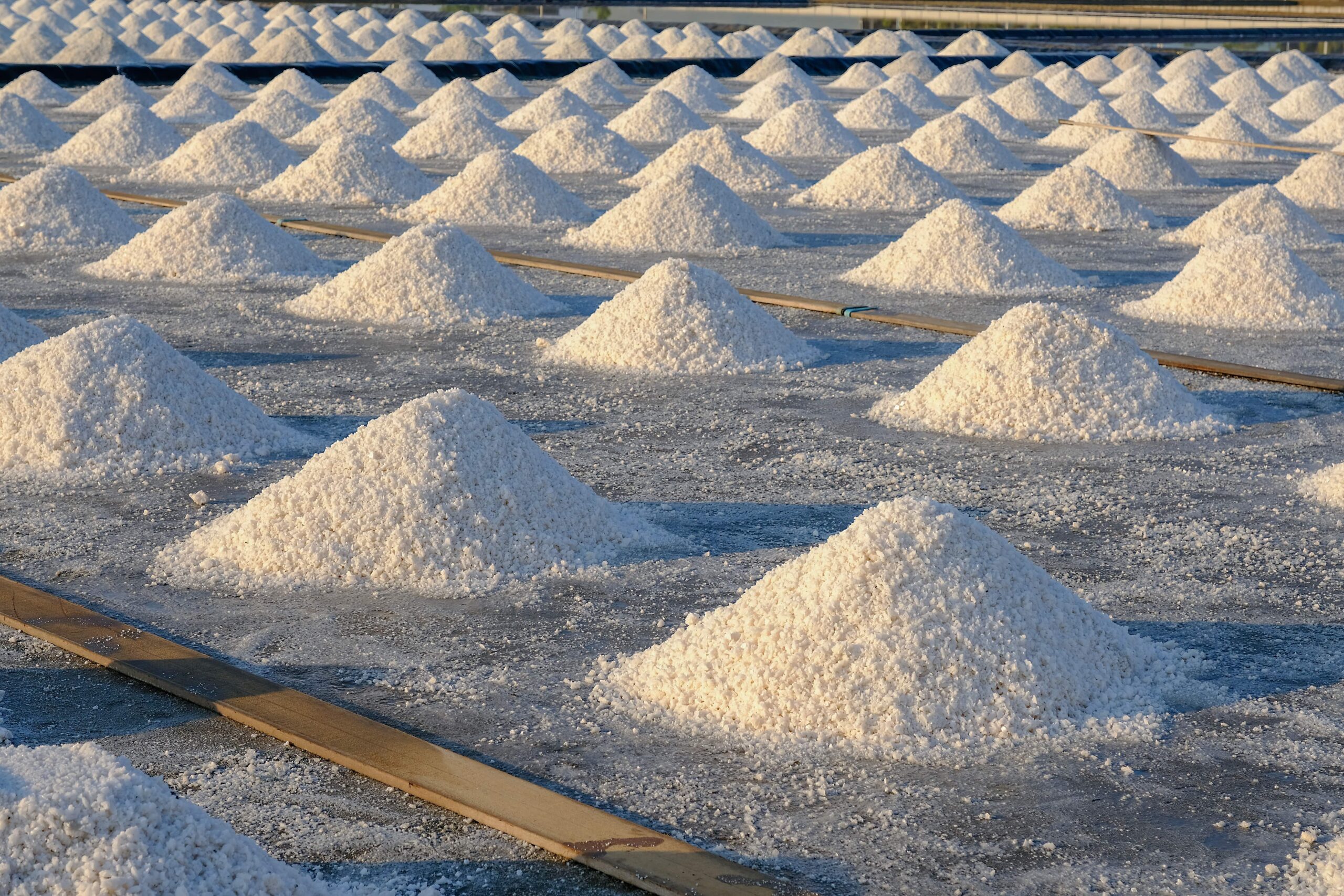 4 Ways Indian Resist Salt Manufacturers are Leading the Way​